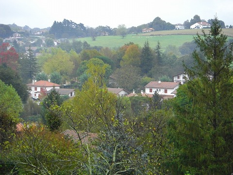 CIMG5077.jpg