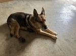 IMG_2827.jpeg