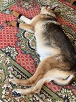 IMG_3795.jpeg